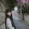 高清免费在线视频解析